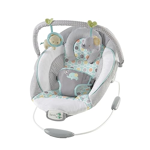 New Ingenuity Soothing Baby Bouncer (Morrison)