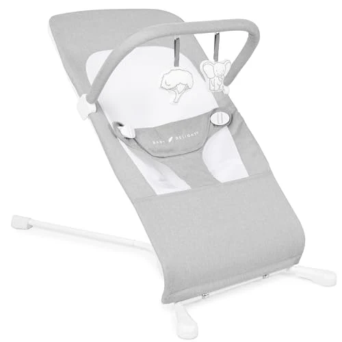 New Baby Delight Highland Portable Baby Bouncer (Pebble Gray)