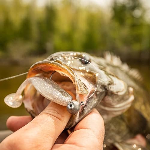 New CrushCity Mayor Soft Plastic Paddle Tail Swimbait, Strong Kicking Action for Swim Jigs, Underspins & Bass Fishing, 3", Black Blue Green Pumpkin - Image 5