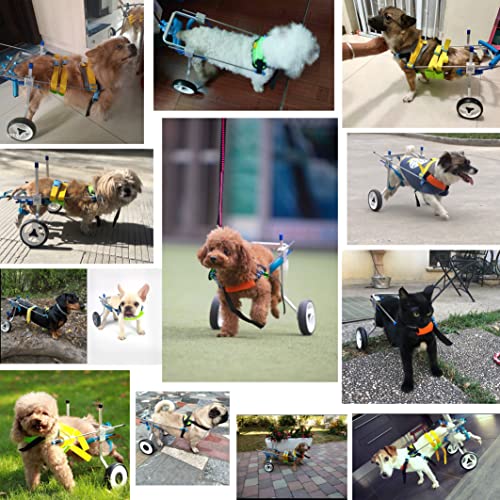 New HobeyHove Adjustable Large Dog Cart/Wheelchair for Back Legs (7-Size)(L) FINAL SALE - Image 3