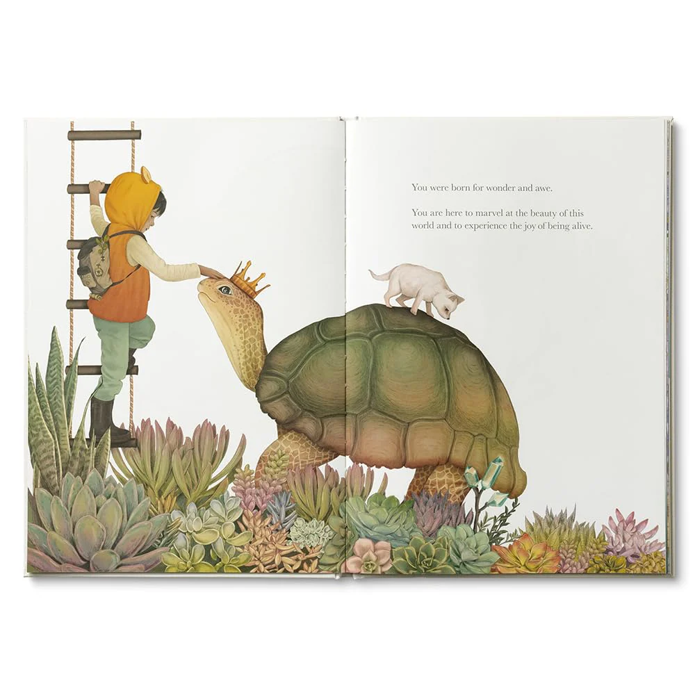 Why Not?: A Story about Discovering Our Bright Possibilities Book - Image 7